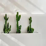 Mykonian Mews Luxury